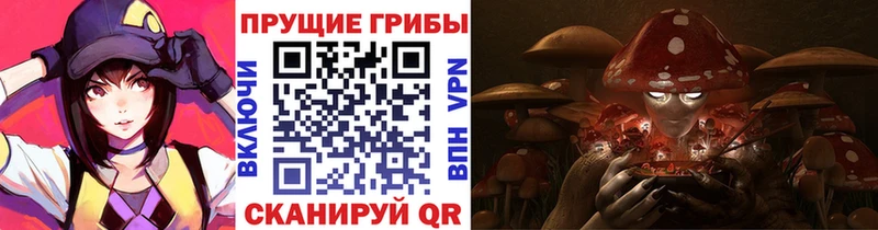 продажа наркотиков  Арамиль  Галлюциногенные грибы Psilocybe 